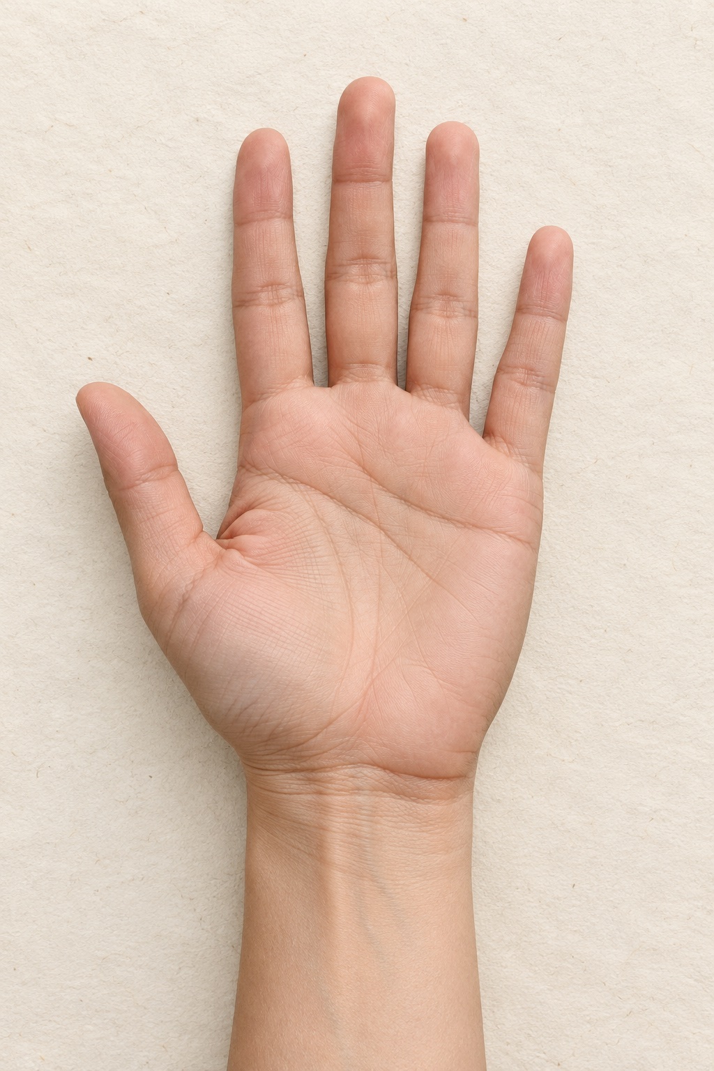 Teaching palm photo in even light, illustrating photography conditions only.